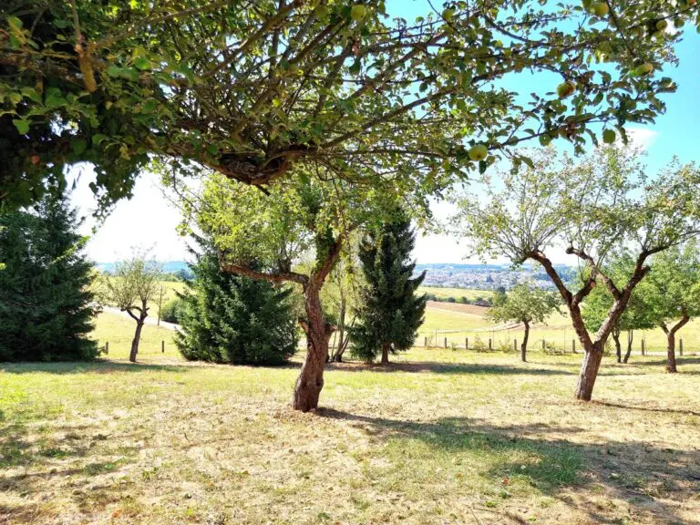 Garten mit Weitblick 